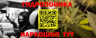 мяу мяу мука Бузулук