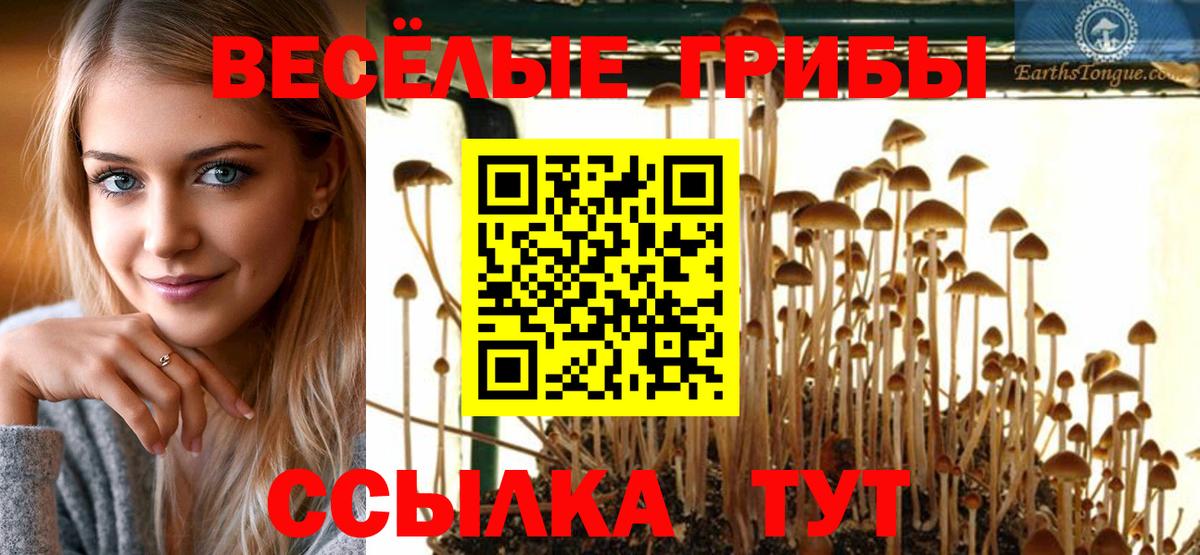 Раменское  Псилоцибиновые грибы Psilocybe  Псилоцибиновые грибы Psilocybine cubensis  Вход с VPN 
